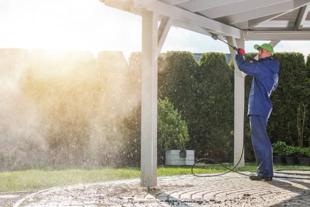 Best Sidewalk and Walkway Cleaning  in Edmore, MI