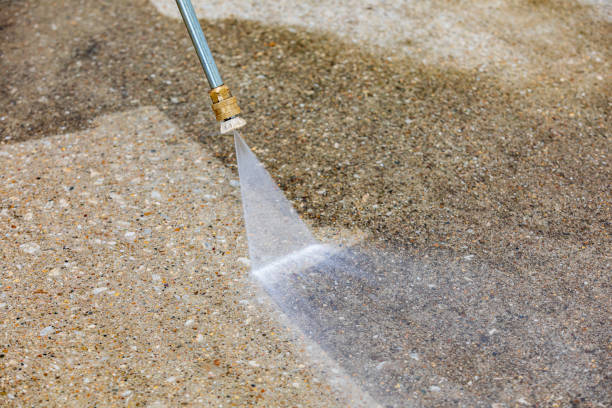 Best Gutter Cleaning  in Edmore, MI