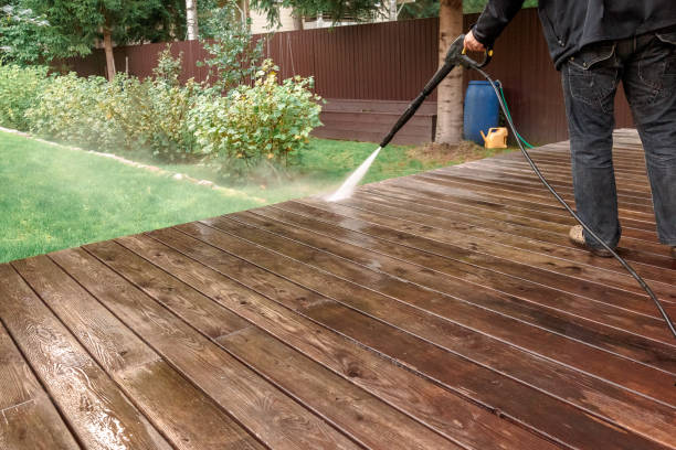 Best Spring Cleaning  in Edmore, MI