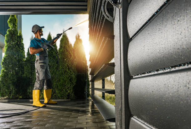 Best Warehouse Cleaning  in Edmore, MI