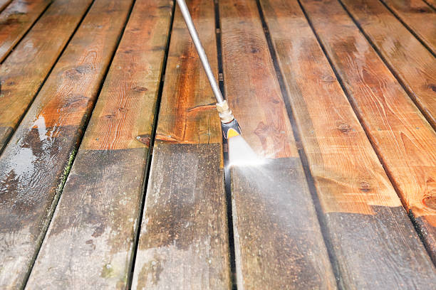 Best Fence Cleaning  in Edmore, MI