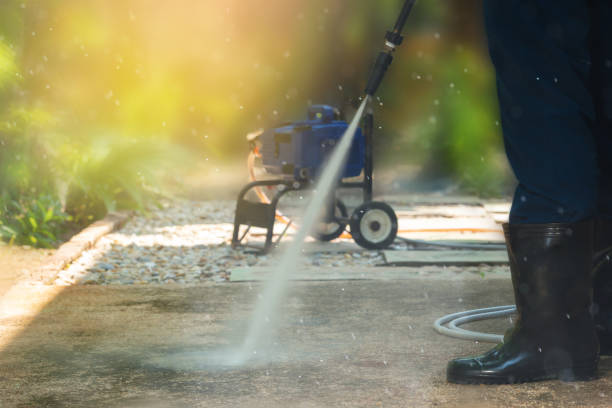 Best Graffiti Removal  in Edmore, MI